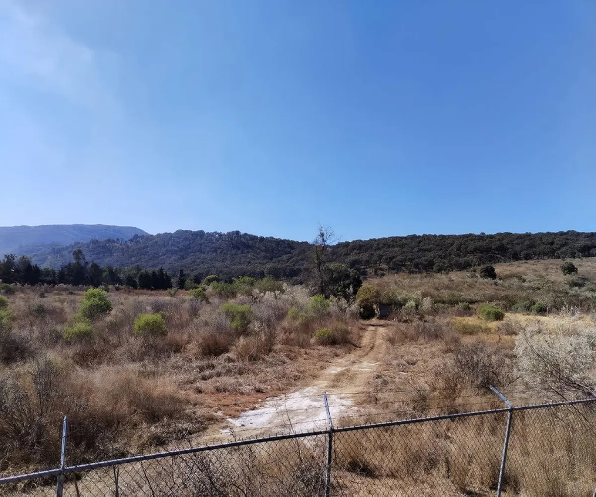 Terreno En Renta,El Bajío,Avenida Circunvalación del Bosque 80, Zapopan, Jalisco 45019,Avenida Circunvalación del Bosque,pFBYoR1