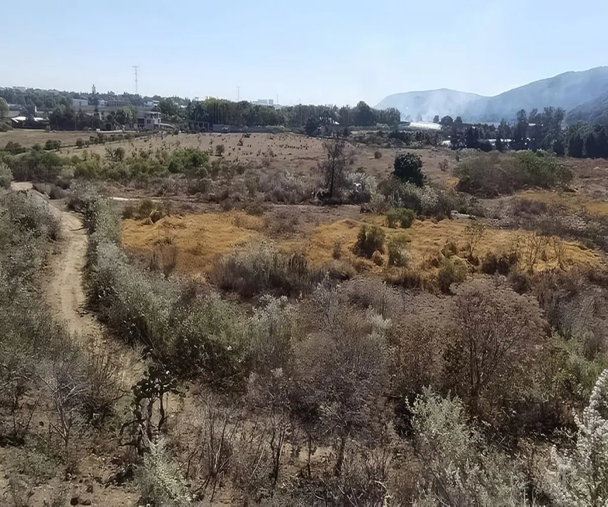 Terreno En Renta,El Bajío,Avenida Circunvalación del Bosque 80, Zapopan, Jalisco 45019,Avenida Circunvalación del Bosque,pFBYoR1