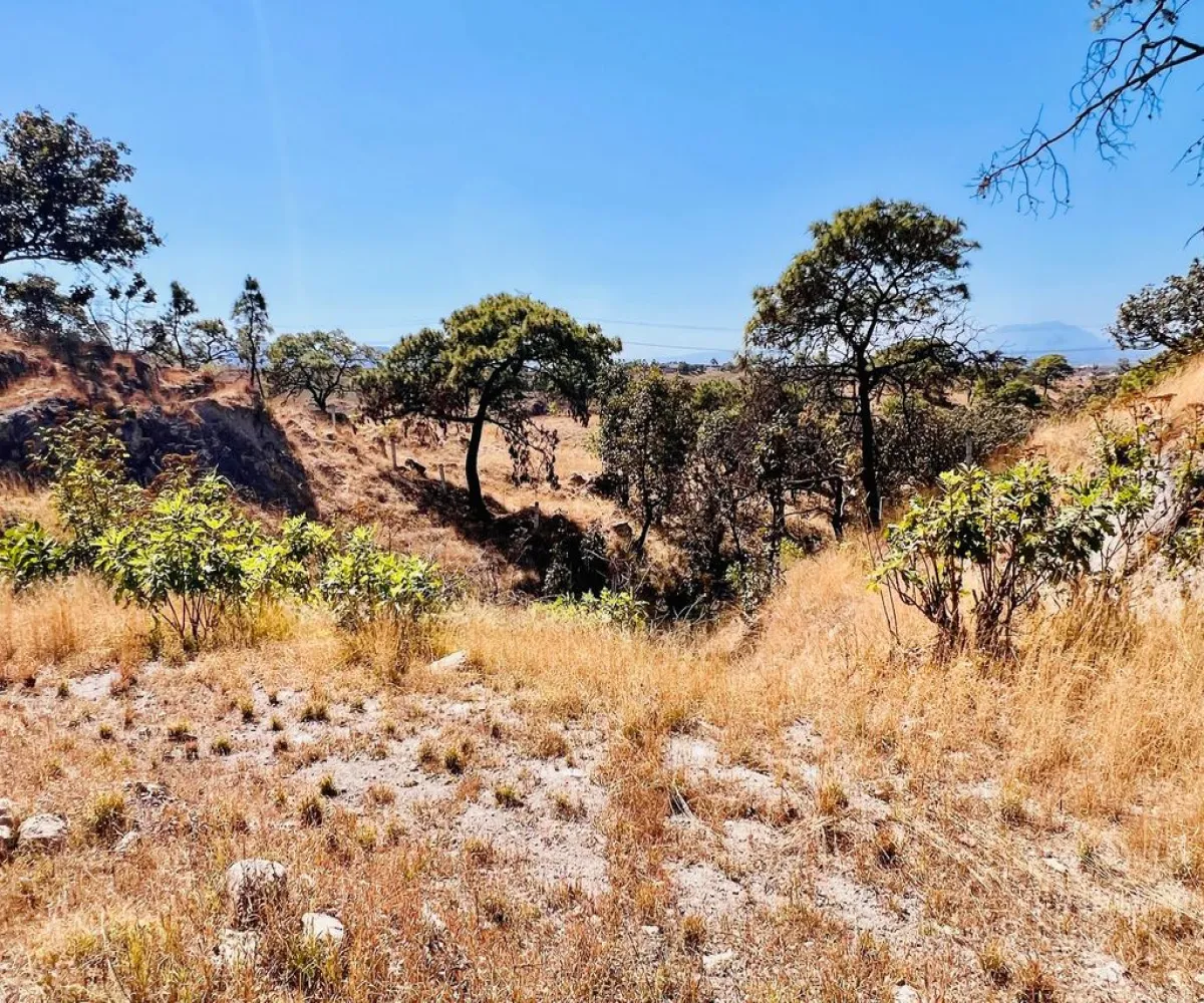 Terreno En Venta,Tala,Macrolibramiento S/N, Tala, Jalisco 45300,Macrolibramiento,p5t0XF9 Terreno En Venta,Tala,Macrolibramiento S/N, Tala, Jalisco 45300,Macrolibramiento,p5t0XF9