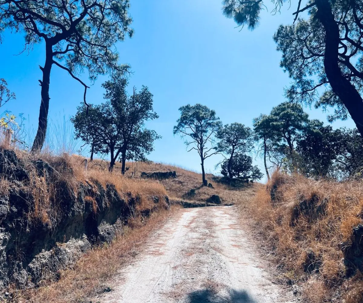 Terreno En Venta,Tala,Macrolibramiento S/N, Tala, Jalisco 45300,Macrolibramiento,p5t0XF9 Terreno En Venta,Tala,Macrolibramiento S/N, Tala, Jalisco 45300,Macrolibramiento,p5t0XF9