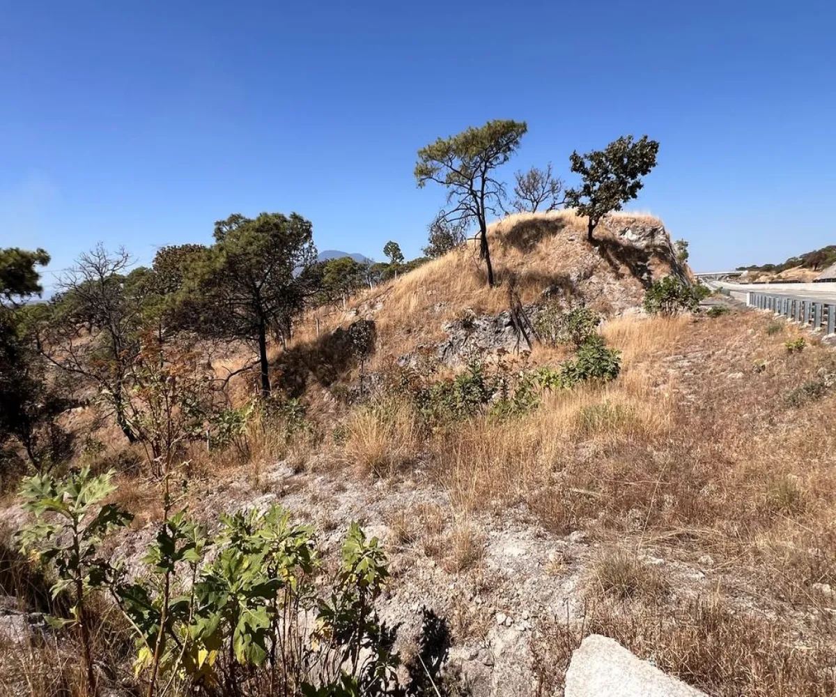 Terreno En Venta,Tala,Macrolibramiento S/N, Tala, Jalisco 45300,Macrolibramiento,p5t0XF9 Terreno En Venta,Tala,Macrolibramiento S/N, Tala, Jalisco 45300,Macrolibramiento,p5t0XF9