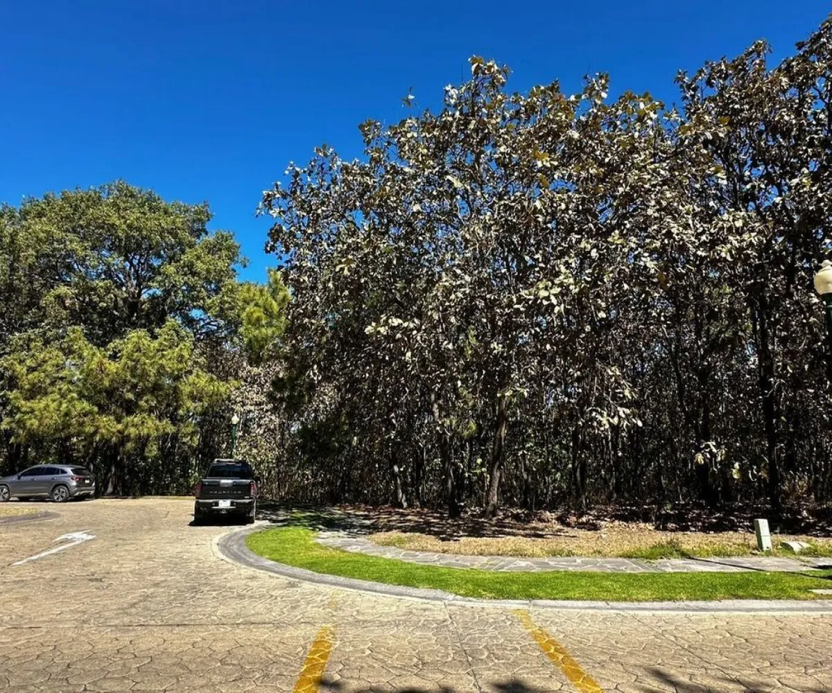 Terreno En Venta,El Cielo,Fairwey 4675, Tlajomulco de Zúñiga, Jalisco 45643,Fairwey,pG39yvM