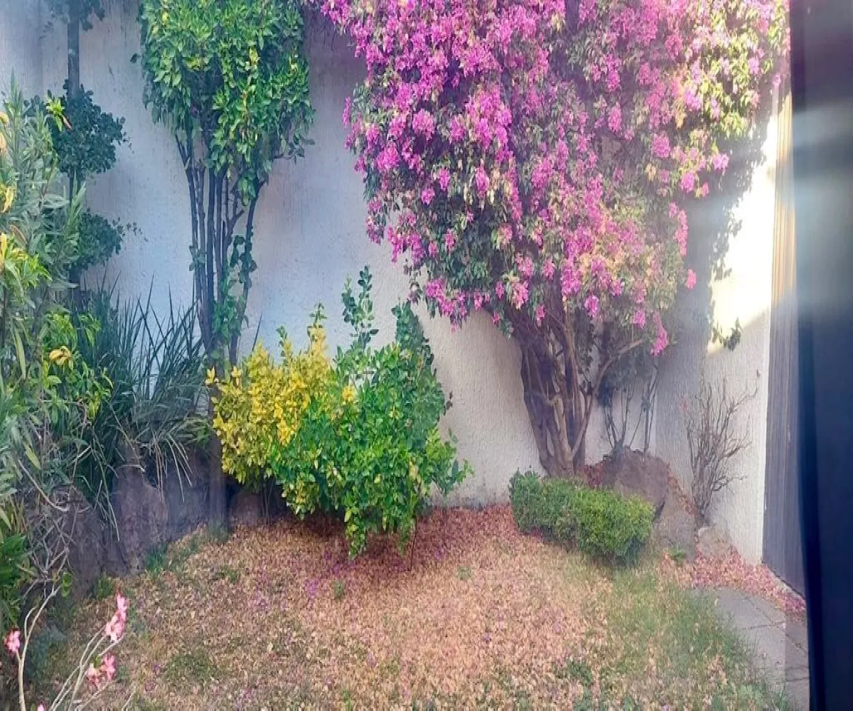 Casa En Venta,Vallarta Universidad,Ricardo Güiraldes 5420, Zapopan, Jalisco 45110, 3 Habitaciones,2 Baños,Ricardo Güiraldes,1,pq95Ca3 Casa En Venta,Vallarta Universidad,Ricardo Güiraldes 5420, Zapopan, Jalisco 45110, 3 Habitaciones,2 Baños,Ricardo Güiraldes,1,pq95Ca3