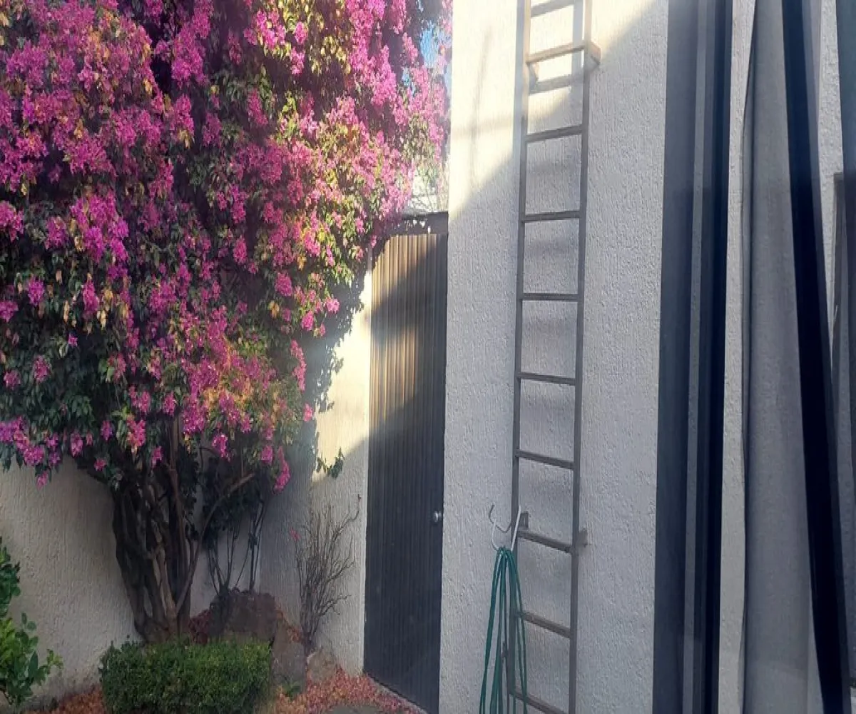 Casa En Venta,Vallarta Universidad,Ricardo Güiraldes 5420, Zapopan, Jalisco 45110, 3 Habitaciones,2 Baños,Ricardo Güiraldes,1,pq95Ca3 Casa En Venta,Vallarta Universidad,Ricardo Güiraldes 5420, Zapopan, Jalisco 45110, 3 Habitaciones,2 Baños,Ricardo Güiraldes,1,pq95Ca3