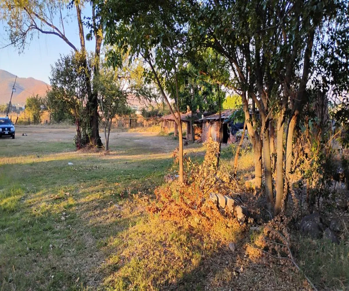 Terreno En Venta,La Providencia,Camino a la Cañada S/N, Tlajomulco de Zúñiga, Jalisco 45640,Camino a la Cañada,pwSMI2L