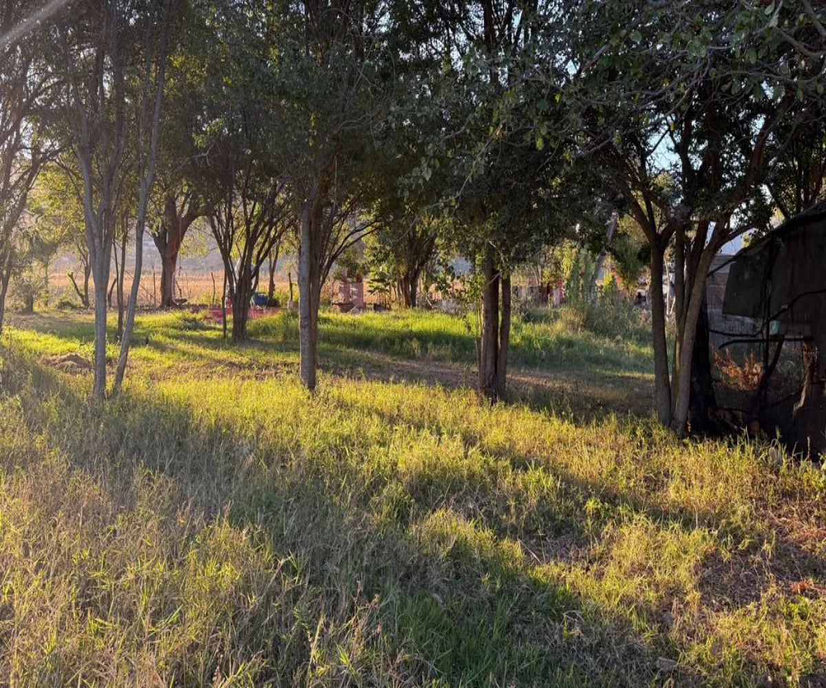 Terreno En Venta,La Providencia,Camino a la Cañada S/N, Tlajomulco de Zúñiga, Jalisco 45640,Camino a la Cañada,pwSMI2L