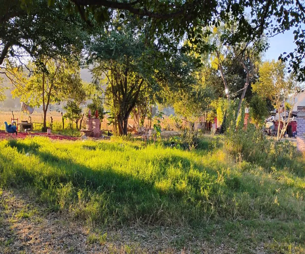 Terreno En Venta,La Providencia,Camino a la Cañada S/N, Tlajomulco de Zúñiga, Jalisco 45640,Camino a la Cañada,pwSMI2L