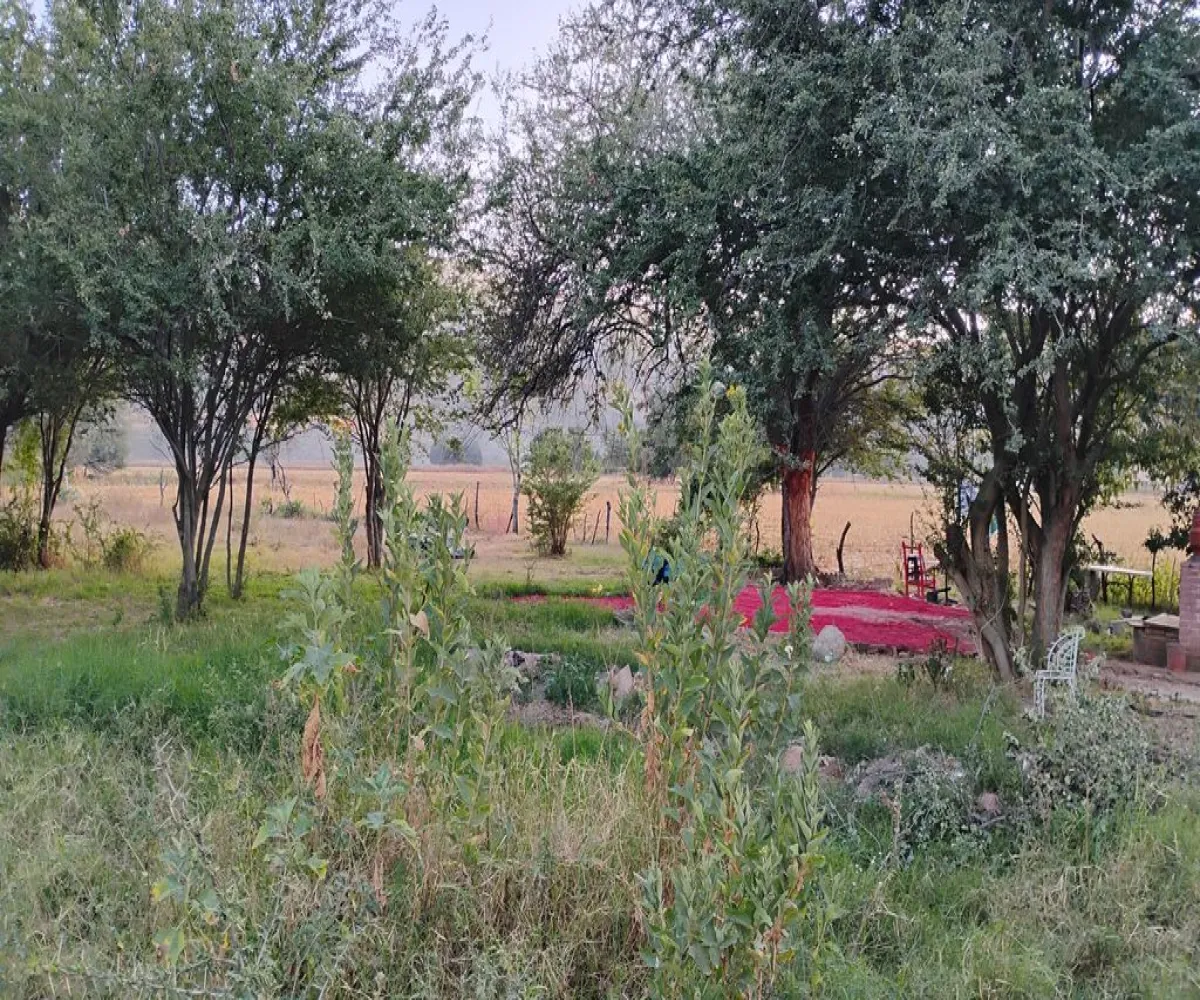 Terreno En Venta,La Providencia,Camino a la Cañada S/N, Tlajomulco de Zúñiga, Jalisco 45640,Camino a la Cañada,pwSMI2L