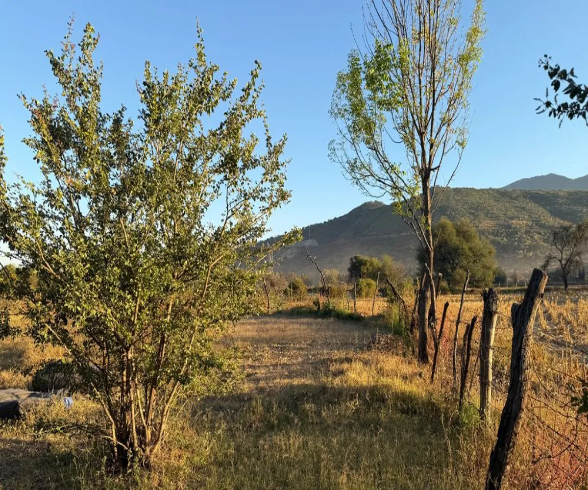 Terreno En Venta,La Providencia,Camino a la Cañada S/N, Tlajomulco de Zúñiga, Jalisco 45640,Camino a la Cañada,pwSMI2L