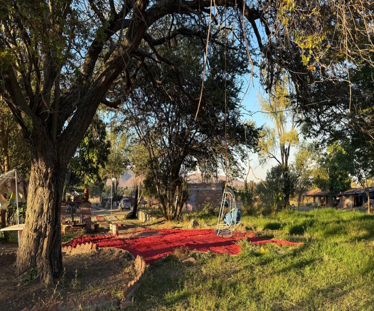 Terreno En Venta,La Providencia,Camino a la Cañada S/N, Tlajomulco de Zúñiga, Jalisco 45640,Camino a la Cañada,pwSMI2L