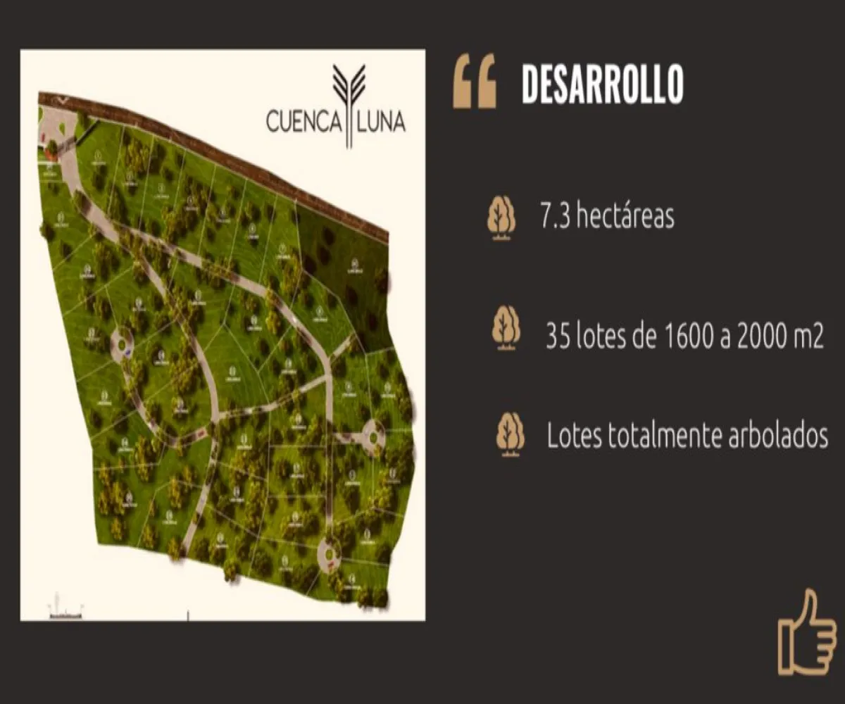 Terreno En Venta,Camino a San Agustin km 0.8, Tapalpa, Jalisco 49340,Camino a San Agustin ,powjn8v