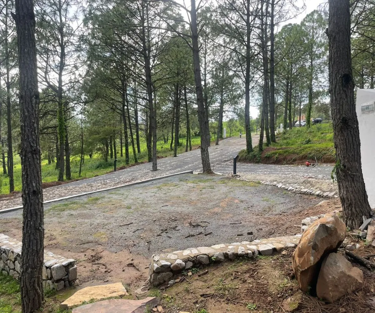 Terreno En Venta,Camino a San Agustin km 0.8, Tapalpa, Jalisco 49340,Camino a San Agustin ,powjn8v
