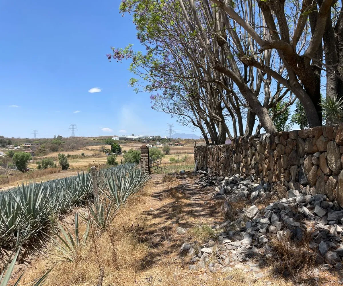 Terreno En Venta,SANTA CRUZ DEL ASTILLERO,S/N S/N, El Arenal, Jalisco 45360,S/N,p3MfN0r