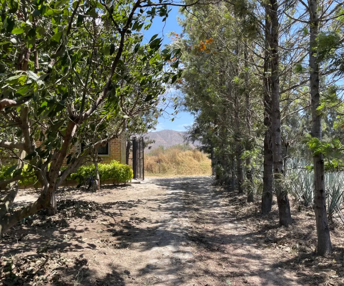 Terreno En Venta,SANTA CRUZ DEL ASTILLERO,S/N S/N, El Arenal, Jalisco 45360,S/N,p3MfN0r