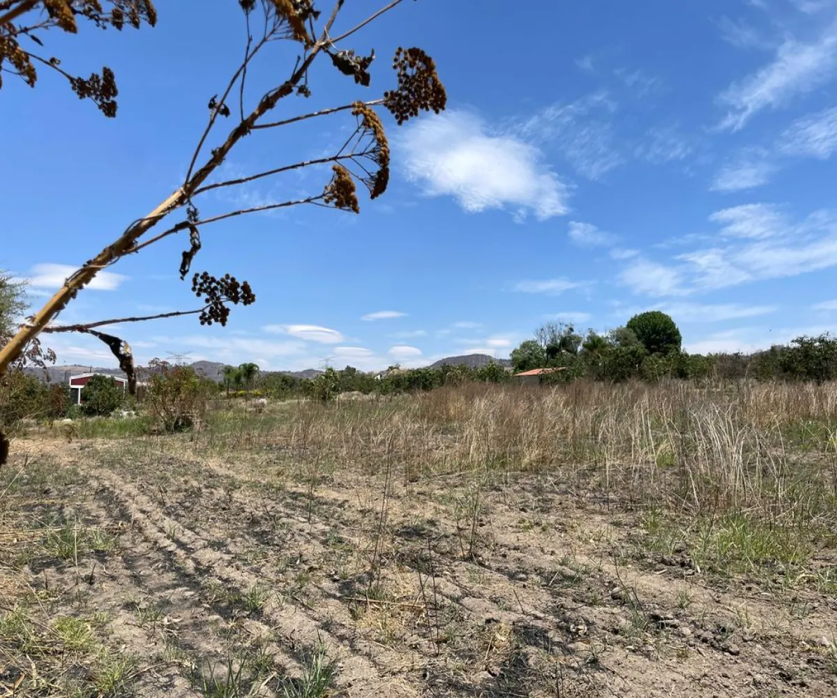 Terreno En Venta,SANTA CRUZ DEL ASTILLERO,S/N S/N, El Arenal, Jalisco 45360,S/N,p3MfN0r