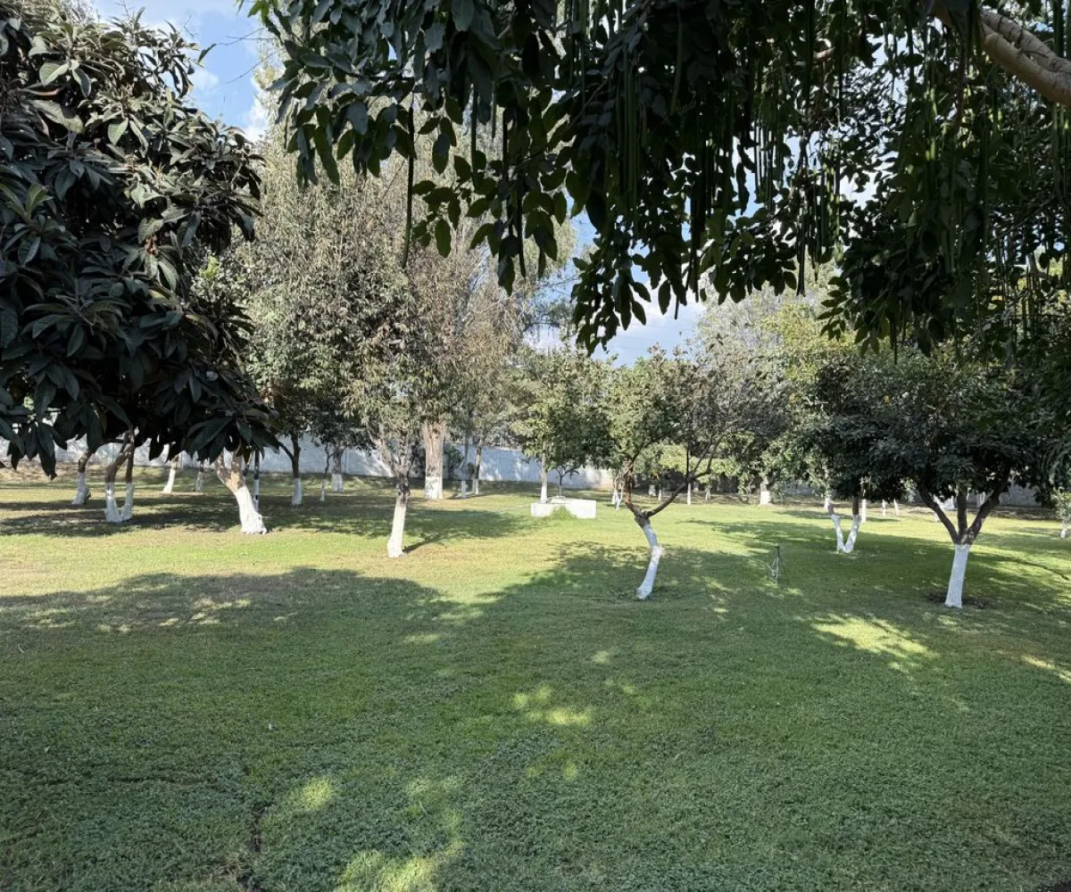 Casa En Venta,Prados de Santa María,Olmos 210, San Pedro Tlaquepaque, Jalisco 45601, 3 Habitaciones,2 Baños,Olmos,3,p5ZVHe4