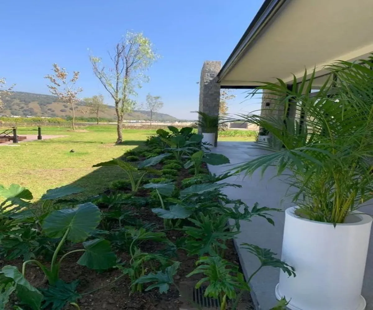 Casa En Venta,Santa Ana Tepetitlán,Boulevard Bosques de Santa Anita 2377 202, Tlajomulco de Zúñiga, Jalisco 45645, 3 Habitaciones,2 Baños,Boulevard Bosques de Santa Anita,1,paINWU3 Casa En Venta,Santa Ana Tepetitlán,Boulevard Bosques de Santa Anita 2377 202, Tlajomulco de Zúñiga, Jalisco 45645, 3 Habitaciones,2 Baños,Boulevard Bosques de Santa Anita,1,paINWU3