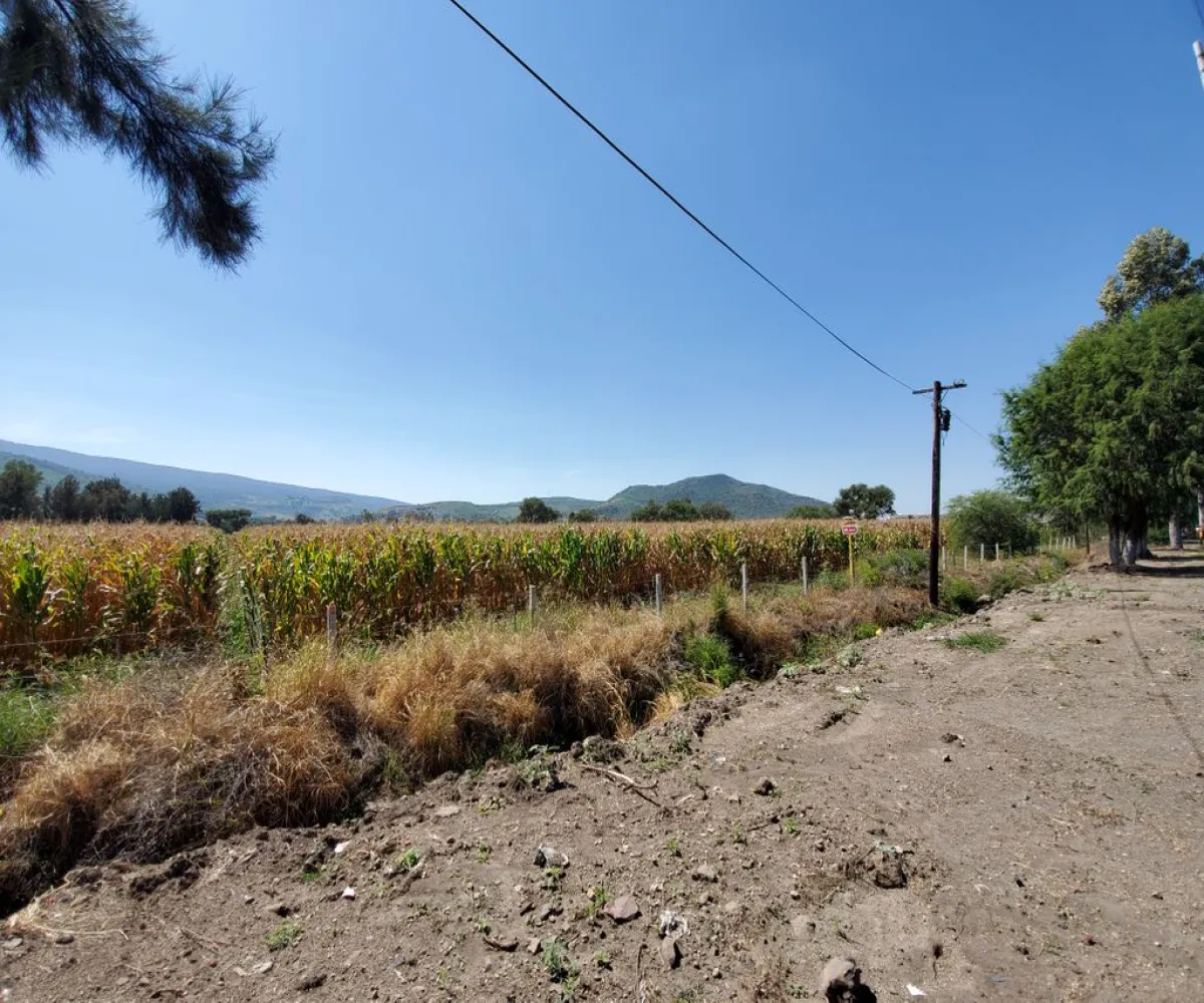 Terreno En Venta,Valle de Tlajomulco,CIRCUITO METROPOLITANO SUR S/N, Tlajomulco de Zúñiga, Jalisco 45640,CIRCUITO METROPOLITANO SUR,pBCRcPP