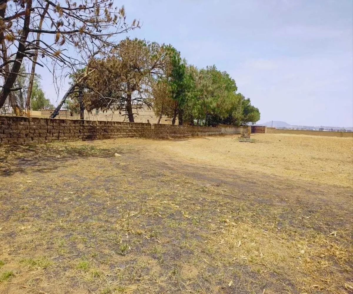 Terreno En Renta,Tesistan,Avenida Jalisco S/N, Zapopan, Jalisco 45200,Avenida Jalisco,pjhHgkE