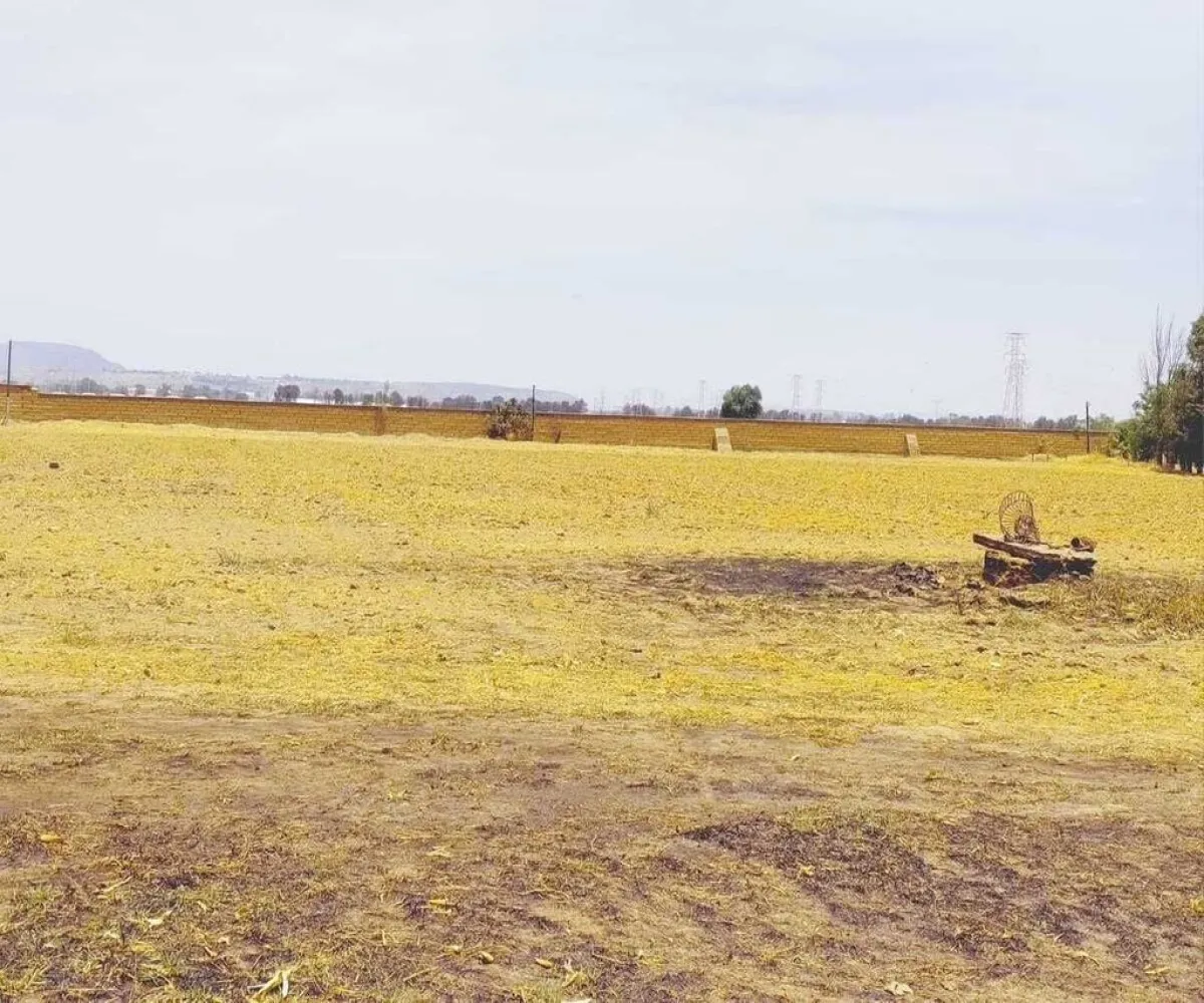 Terreno En Renta,Tesistan,Avenida Jalisco S/N, Zapopan, Jalisco 45200,Avenida Jalisco,pjhHgkE