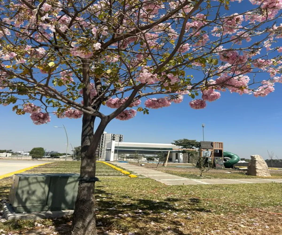 Terreno En Venta,Granja,Avenida de San Juan S/N, Zapopan, Jalisco 45010,Avenida de San Juan,p4Kf3bY