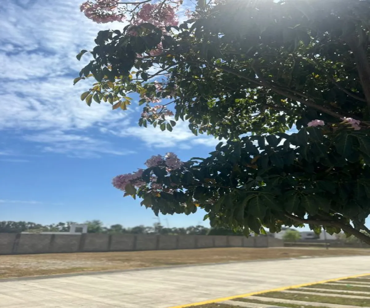 Terreno En Venta,Granja,Avenida de San Juan S/N, Zapopan, Jalisco 45010,Avenida de San Juan,p4Kf3bY