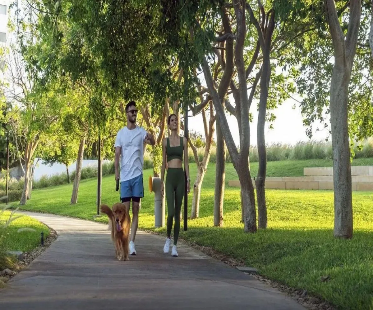 Departamento En Venta,Campestre,Prolongación Paseo Montejo S/N, Mérida, Yucatán 97129, 2 Habitaciones,2 Baños,Prolongación Paseo Montejo,1,pmTJ2EP Departamento En Venta,Campestre,Prolongación Paseo Montejo S/N, Mérida, Yucatán 97129, 2 Habitaciones,2 Baños,Prolongación Paseo Montejo,1,pmTJ2EP