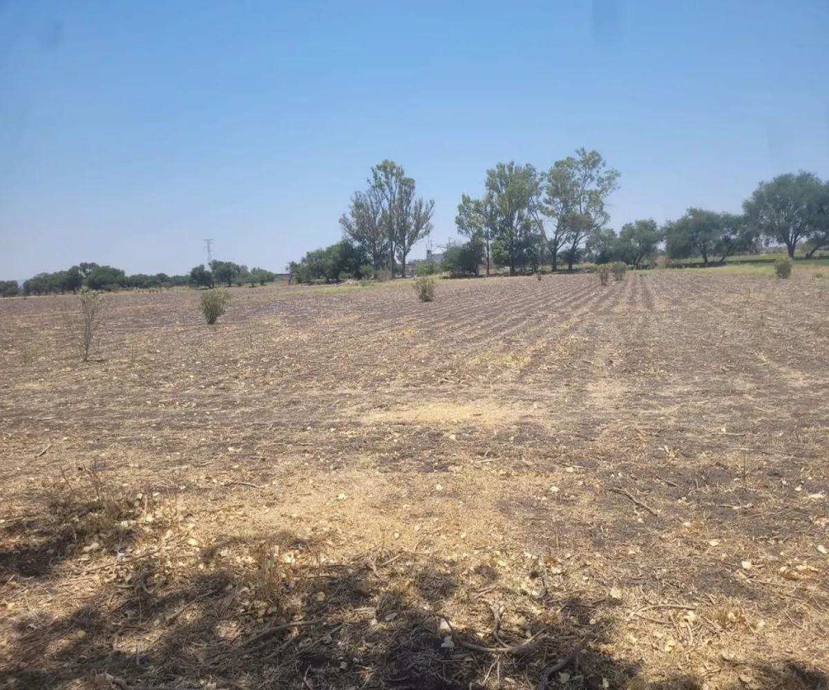 Terreno En Venta,La Venta,Parcela 42 S/N, Pedro Escobedo, Querétaro 76700,Parcela 42,pc4Lu9j