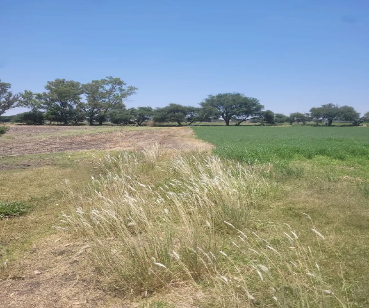 Terreno En Venta,La Venta,Parcela 42 S/N, Pedro Escobedo, Querétaro 76700,Parcela 42,pc4Lu9j