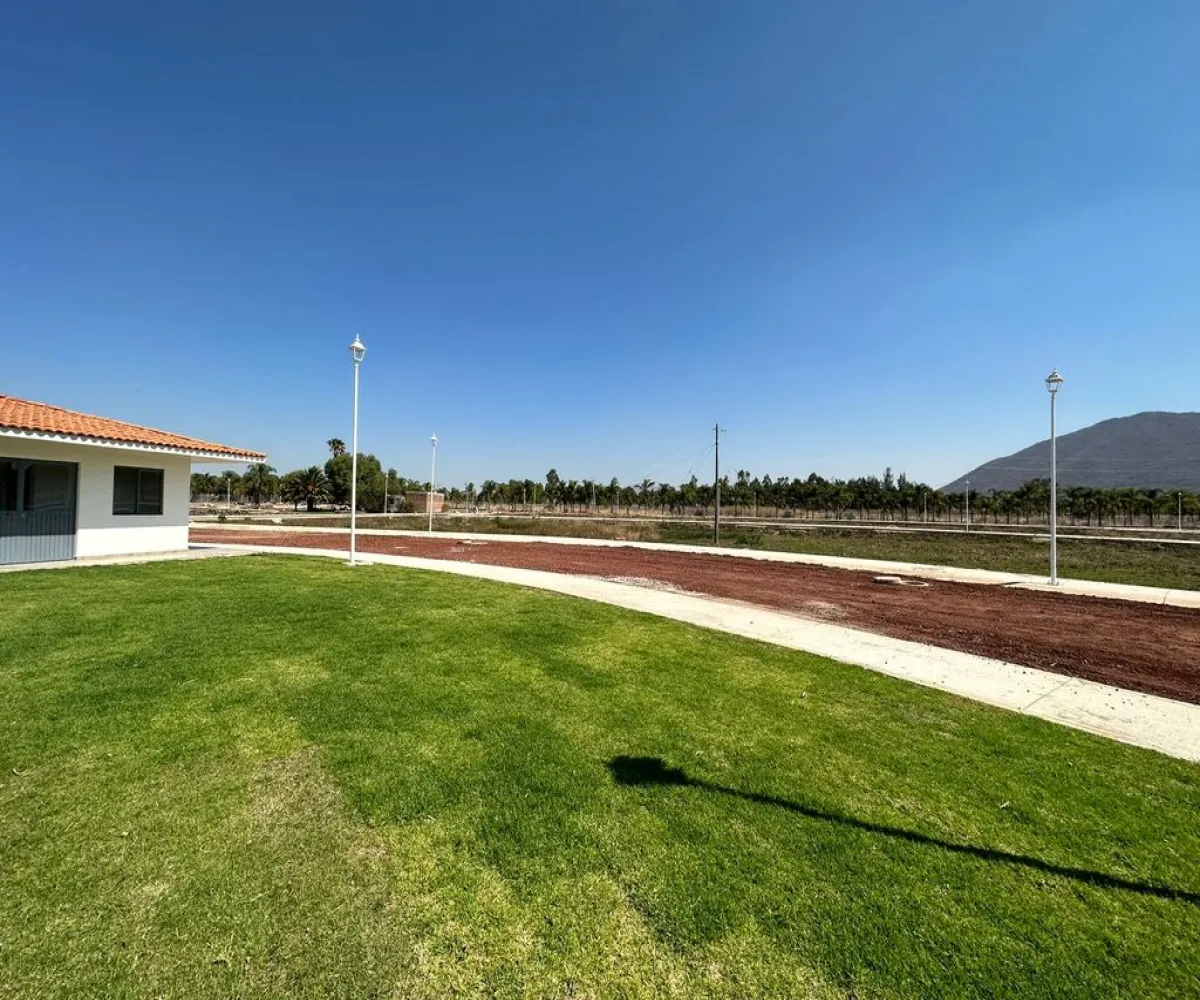 Terreno En Venta,San Pedro Valencia,Camino a Valencia S/N, Acatlán de Juárez, Jalisco 45723,Camino a Valencia ,pkUxTWu