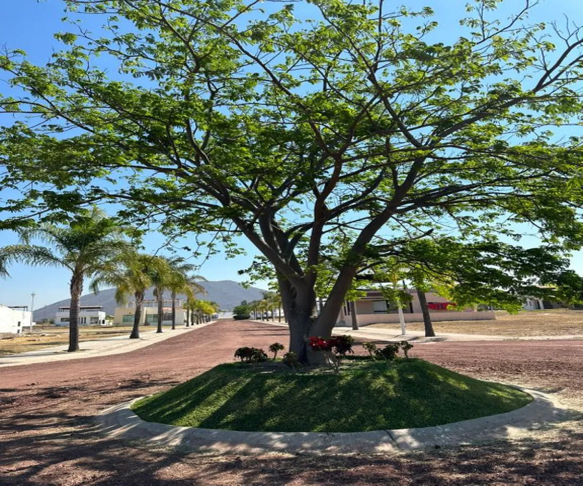 Terreno En Venta,San Pedro Valencia,Camino a Valencia S/N, Acatlán de Juárez, Jalisco 45723,Camino a Valencia ,pkUxTWu