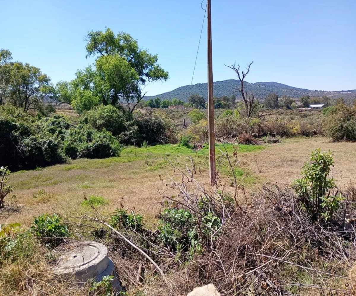 Terreno En Venta,Centro,Vasco de Quiroga Poniente ., Marcos Castellanos, Michoacán de Ocampo 59500,Vasco de Quiroga Poniente,ponUZng