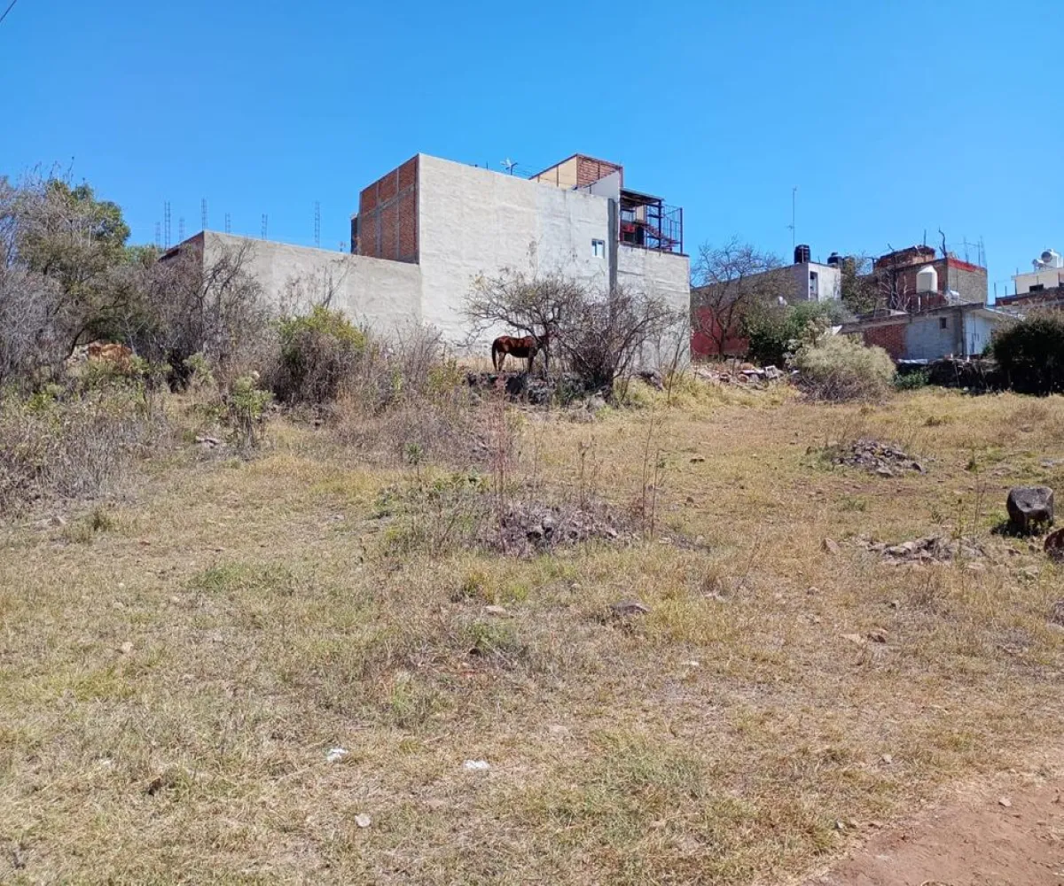 Terreno En Venta,Centro,Vasco de Quiroga Poniente ., Marcos Castellanos, Michoacán de Ocampo 59500,Vasco de Quiroga Poniente,ponUZng