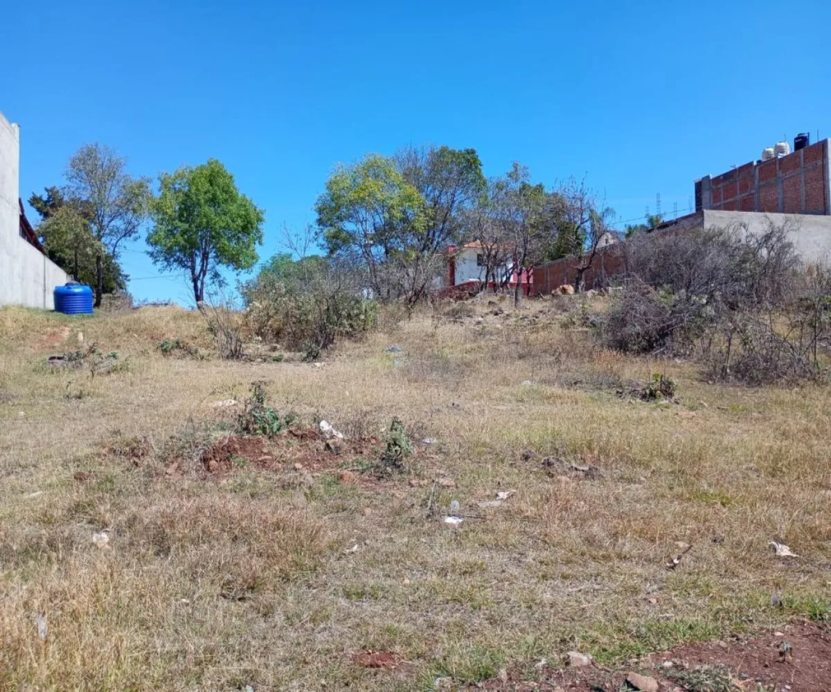 Terreno En Venta,Centro,Vasco de Quiroga Poniente ., Marcos Castellanos, Michoacán de Ocampo 59500,Vasco de Quiroga Poniente,ponUZng