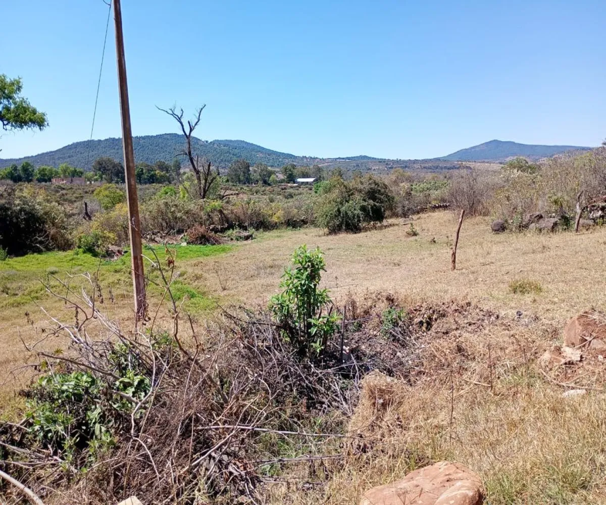 Terreno En Venta,Centro,Vasco de Quiroga Poniente ., Marcos Castellanos, Michoacán de Ocampo 59500,Vasco de Quiroga Poniente,ponUZng