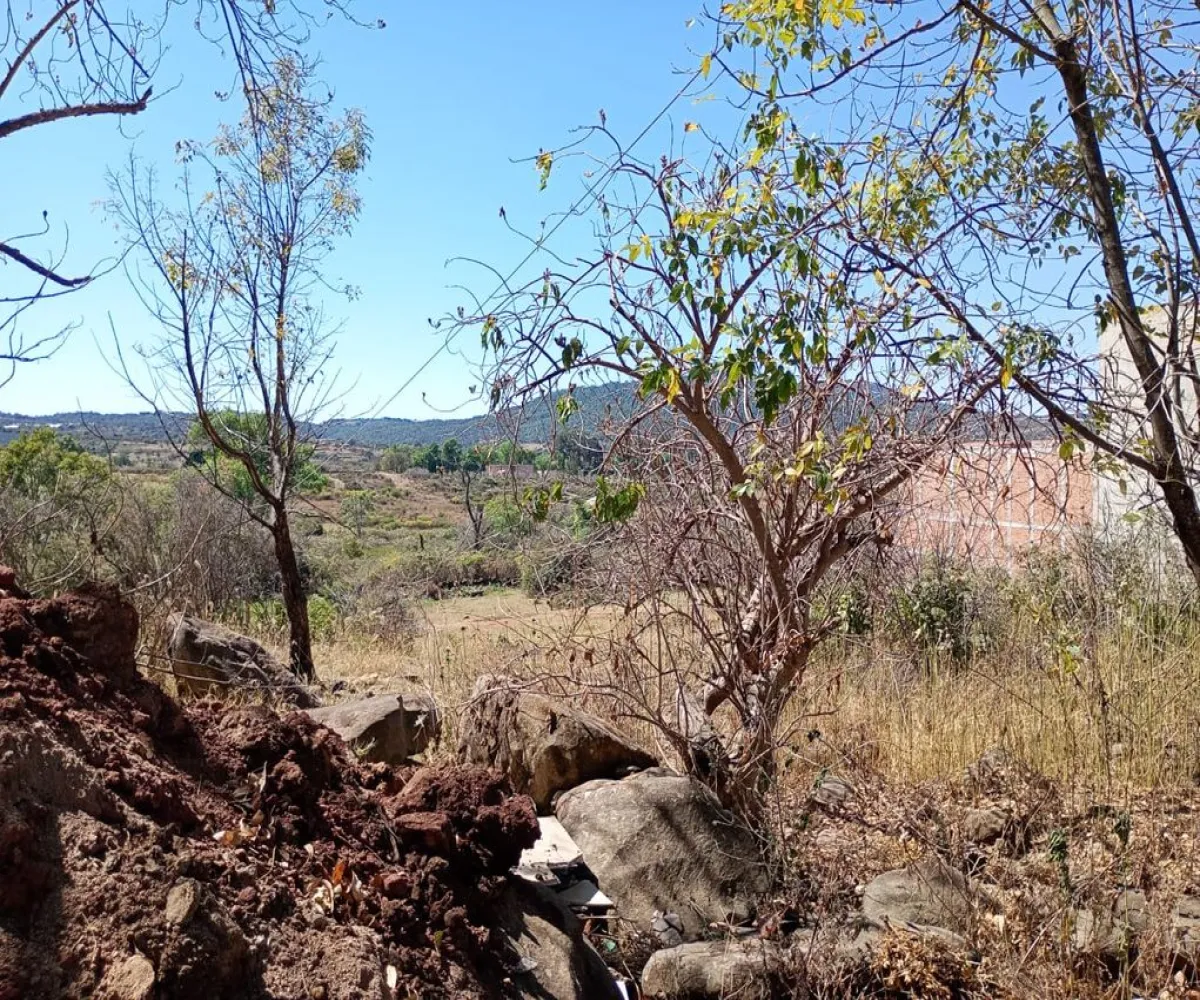 Terreno En Venta,Centro,Vasco de Quiroga Poniente ., Marcos Castellanos, Michoacán de Ocampo 59500,Vasco de Quiroga Poniente,ponUZng