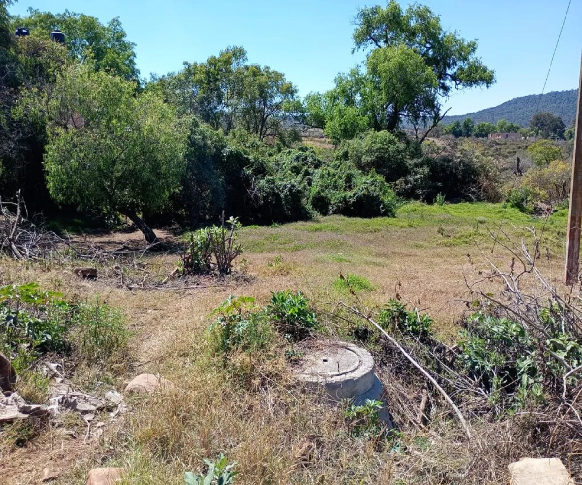 Terreno En Venta,Centro,Vasco de Quiroga Poniente ., Marcos Castellanos, Michoacán de Ocampo 59500,Vasco de Quiroga Poniente,ponUZng