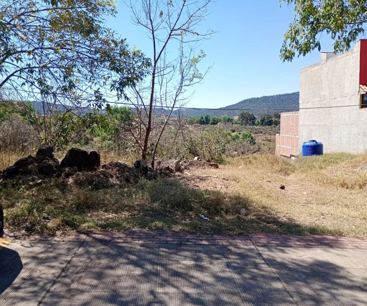 Terreno En Venta,Centro,Vasco de Quiroga Poniente ., Marcos Castellanos, Michoacán de Ocampo 59500,Vasco de Quiroga Poniente,ponUZng