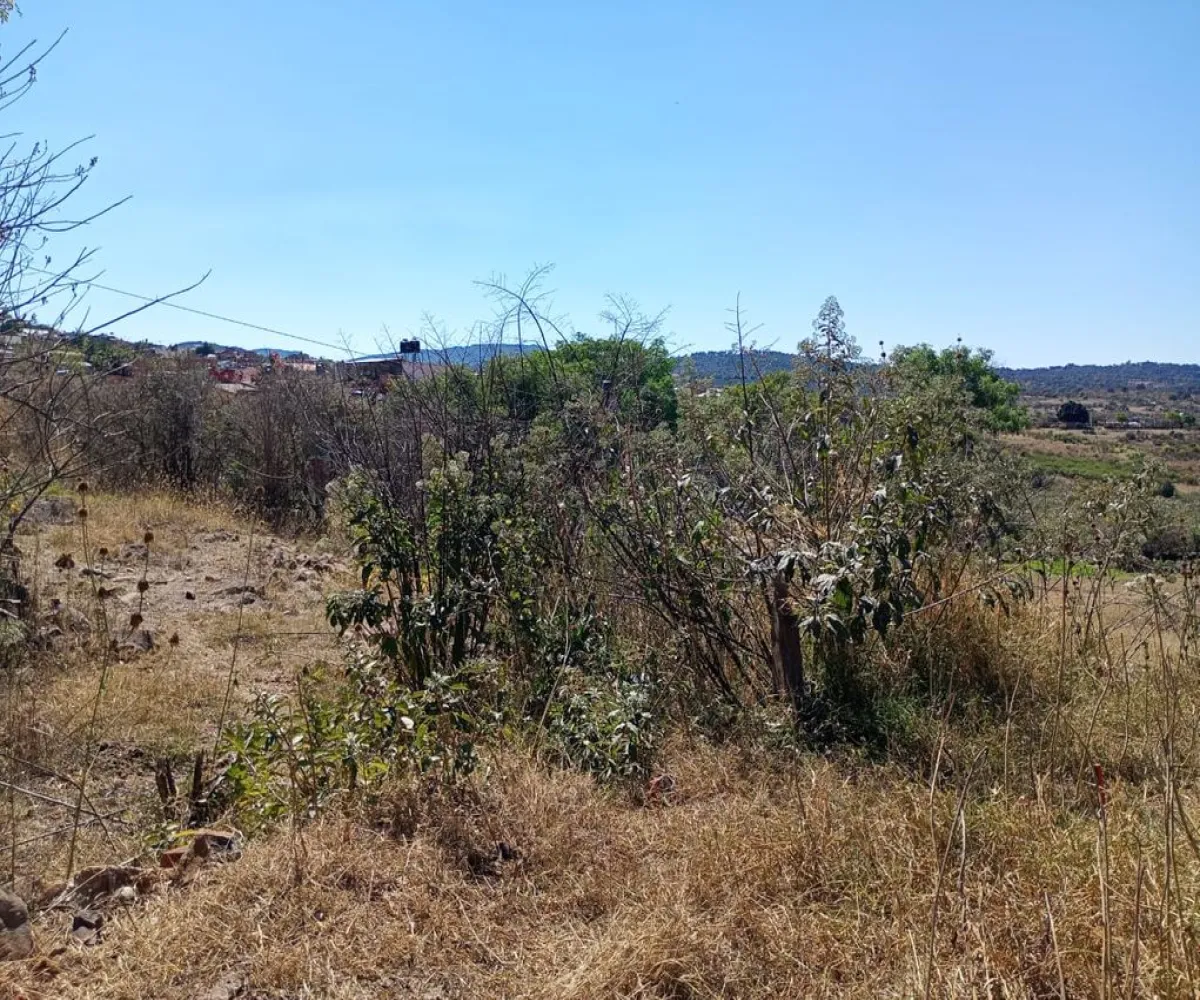 Terreno En Venta,Centro,Vasco de Quiroga Poniente ., Marcos Castellanos, Michoacán de Ocampo 59500,Vasco de Quiroga Poniente,ponUZng