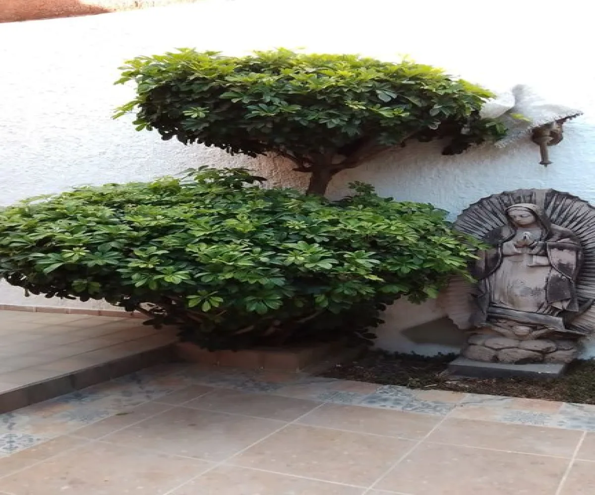 Casa En Venta,Seattle,México Independiente 765, Zapopan, Jalisco 45150, 5 Habitaciones,4 Baños,México Independiente,2,pXBEs54