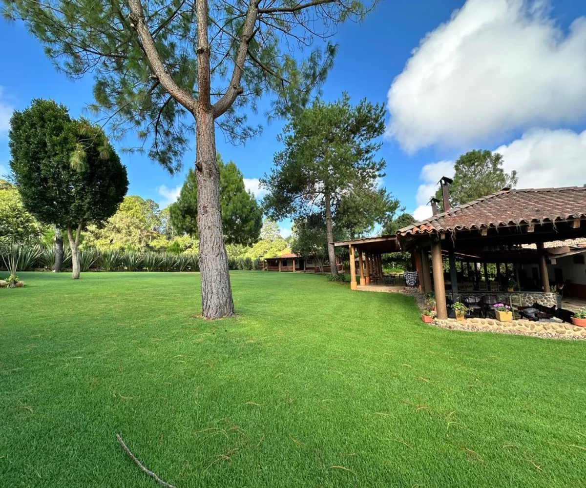 Casa En Venta,Mazamitla ,Carretera mazamitla-Valle de Juarez S/N, Mazamitla, Jalisco 49500, 8 Habitaciones,5 Baños,Carretera mazamitla-Valle de Juarez,1,paaRoSL