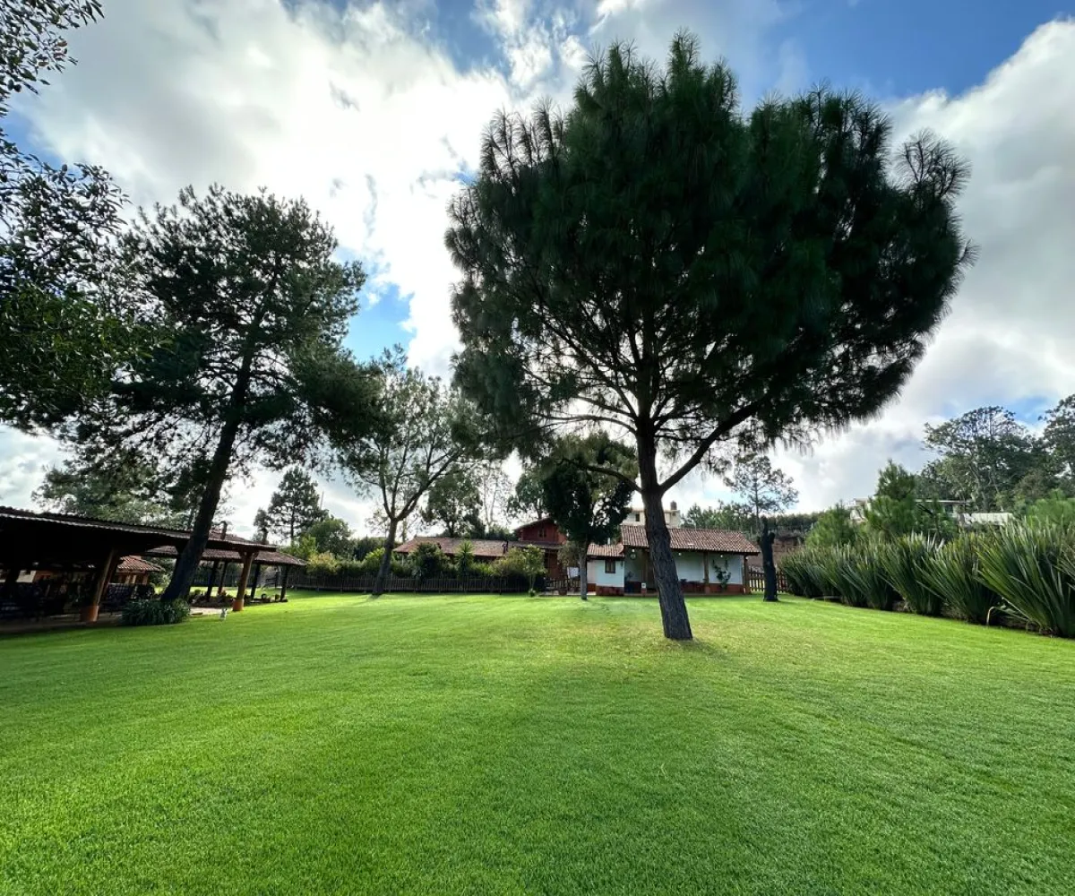 Casa En Venta,Mazamitla ,Carretera mazamitla-Valle de Juarez S/N, Mazamitla, Jalisco 49500, 8 Habitaciones,5 Baños,Carretera mazamitla-Valle de Juarez,1,paaRoSL