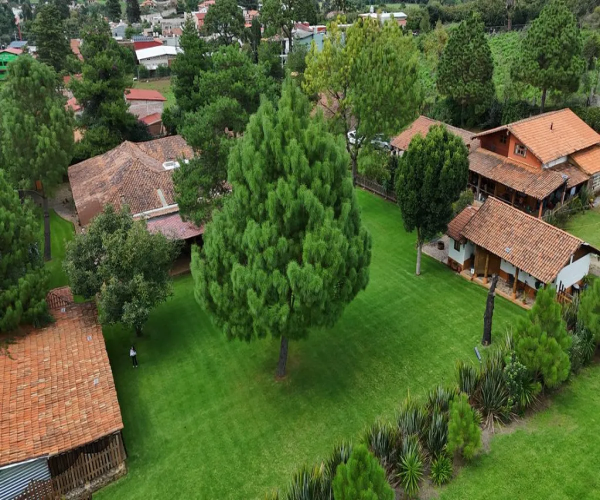 Casa En Venta,Mazamitla ,Carretera mazamitla-Valle de Juarez S/N, Mazamitla, Jalisco 49500, 8 Habitaciones,5 Baños,Carretera mazamitla-Valle de Juarez,1,paaRoSL