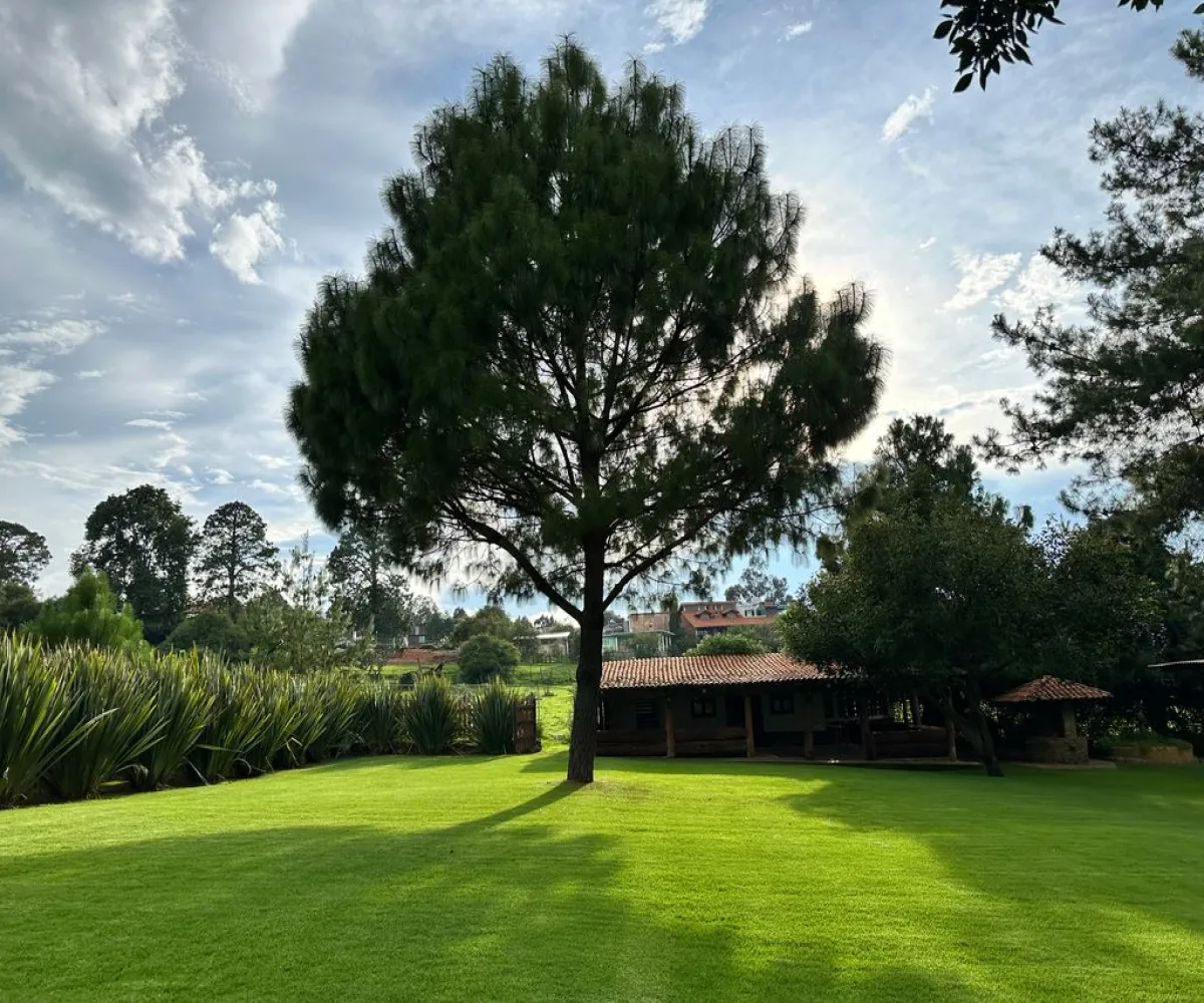 Casa En Venta,Mazamitla ,Carretera mazamitla-Valle de Juarez S/N, Mazamitla, Jalisco 49500, 8 Habitaciones,5 Baños,Carretera mazamitla-Valle de Juarez,1,paaRoSL