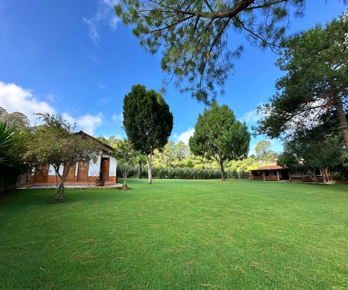 Casa En Venta,Mazamitla ,Carretera mazamitla-Valle de Juarez S/N, Mazamitla, Jalisco 49500, 8 Habitaciones,5 Baños,Carretera mazamitla-Valle de Juarez,1,paaRoSL