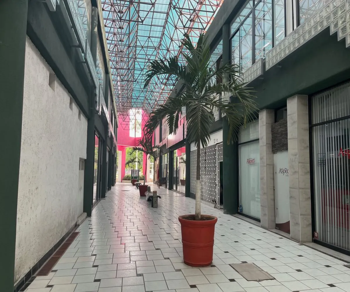 Local En Venta,Vallarta Poniente,Avenida Ignacio L Vallarta 3233 D11, Guadalajara, Jalisco 44110,Avenida Ignacio L Vallarta,2,pHEnRsV