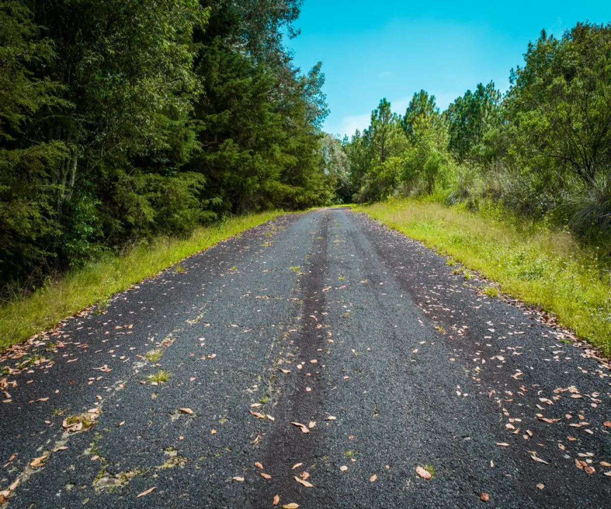 Terreno En Venta,valle del lago,paseo del mirador S/N, Tapalpa, Jalisco 49340,paseo del mirador,pwf2Bqz