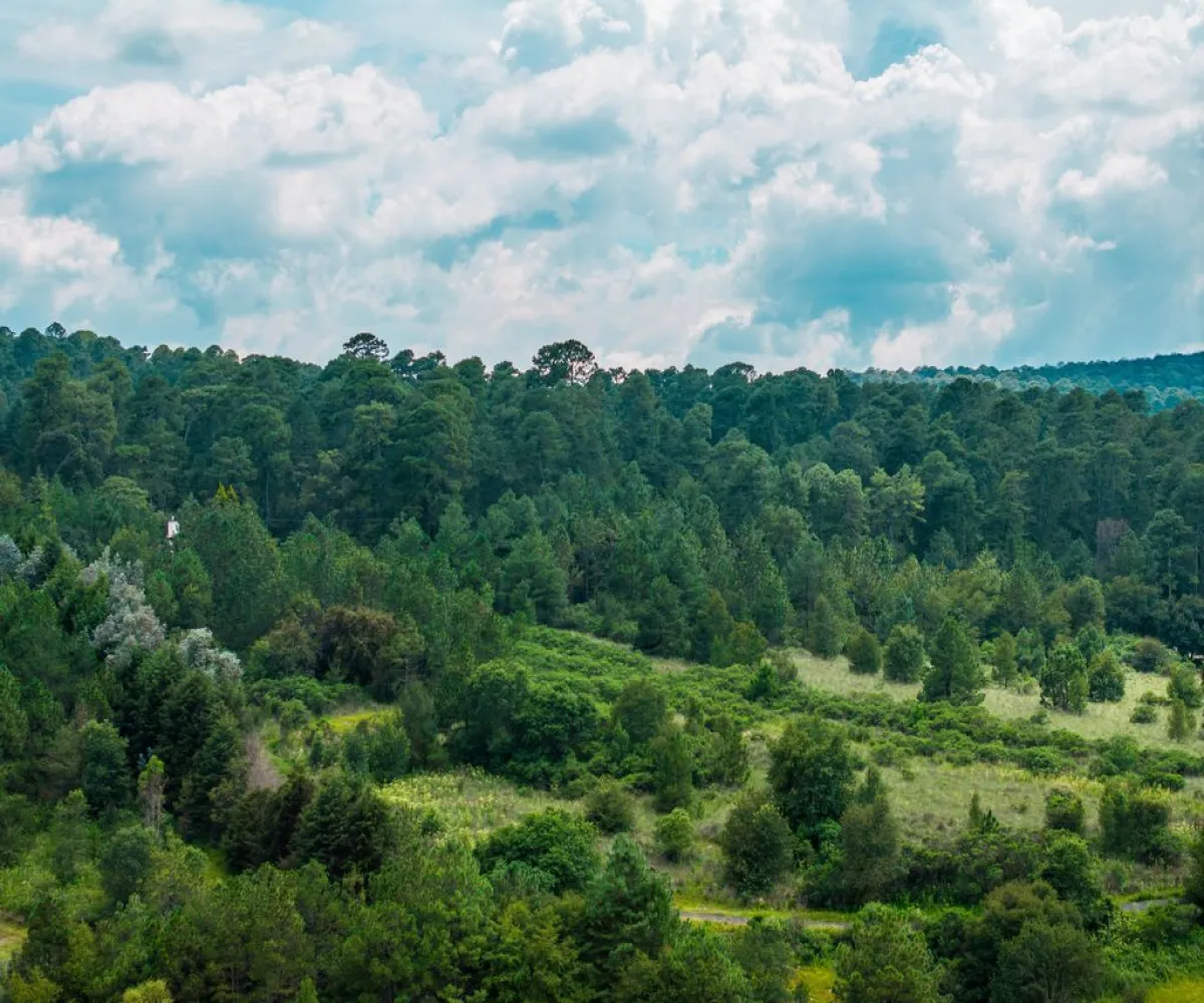 Terreno En Venta,valle del lago,paseo del mirador S/N, Tapalpa, Jalisco 49340,paseo del mirador,pwf2Bqz