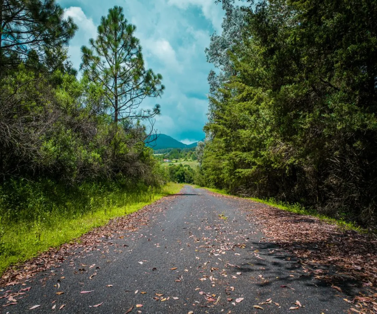 Terreno En Venta,valle del lago,paseo del mirador S/N, Tapalpa, Jalisco 49340,paseo del mirador,pwf2Bqz