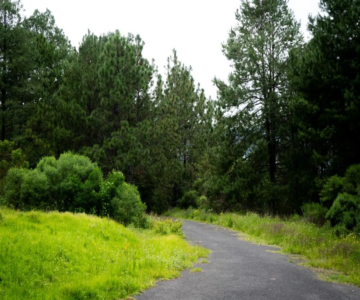 Terreno En Venta,valle del lago,paseo del mirador S/N, Tapalpa, Jalisco 49340,paseo del mirador,pwf2Bqz